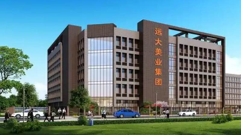 电竞赛事延迟与画质背后的技术取舍:为什么不能既要又要